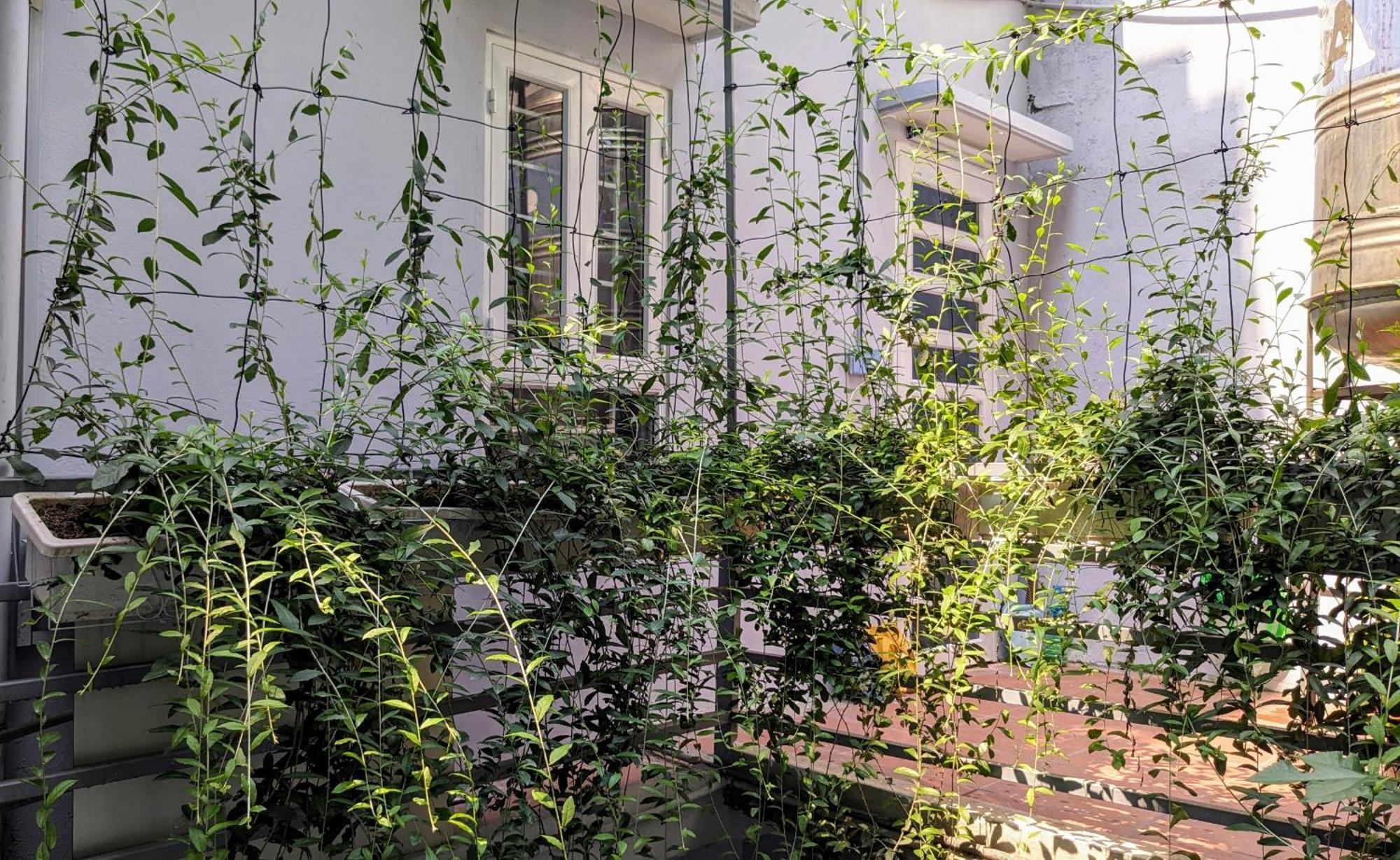 Goc Nho Ha Noi Homestay Hanoi Eksteriør billede